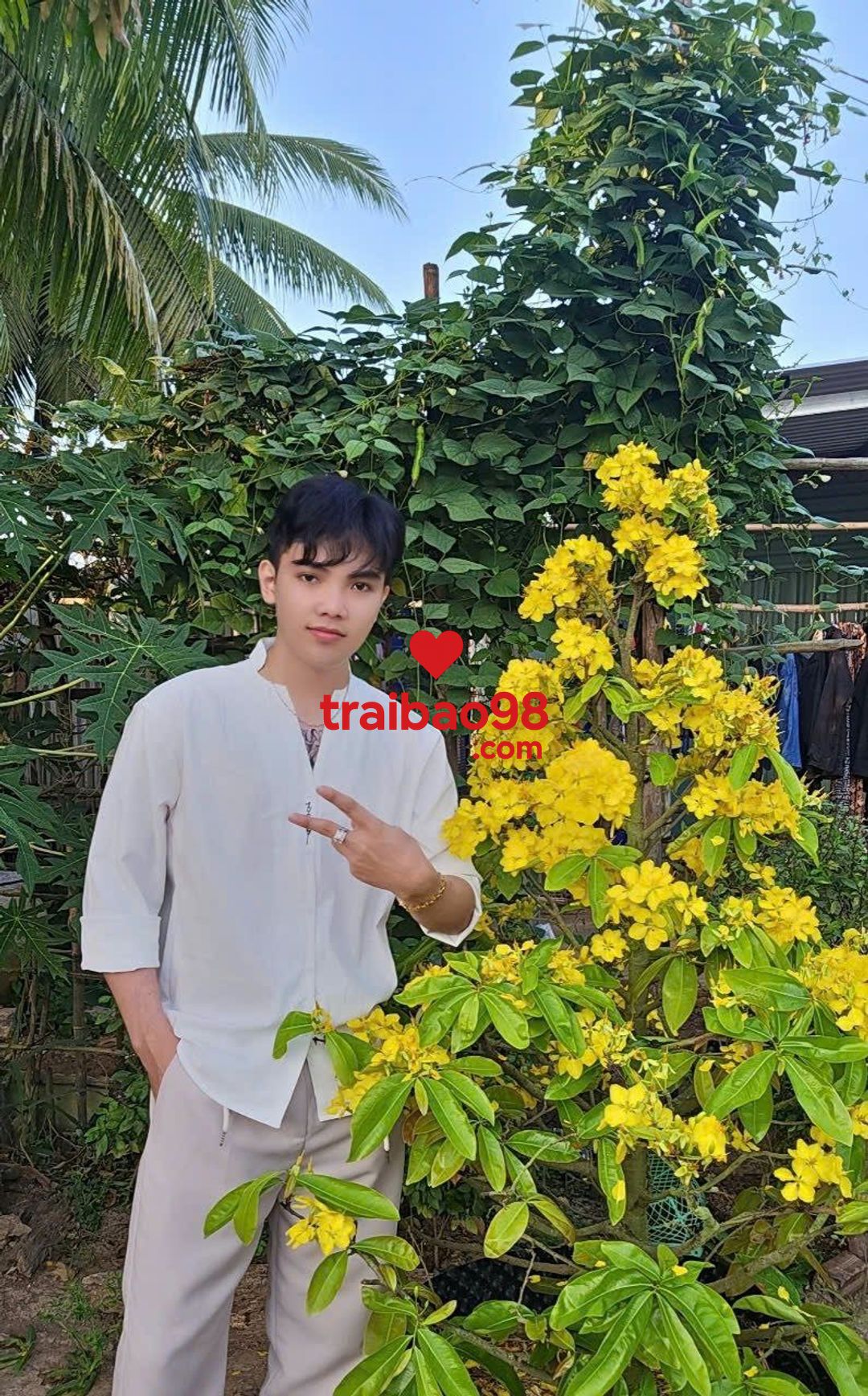 Gia khánh tại Đà Nẵng